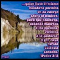 /album/fotogaleria-inicio/yyy-jpg/