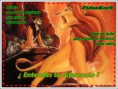 /album/fotogaleria-inicio/ysimba-jpg/