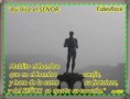 /album/fotogaleria-inicio/human-jpg/